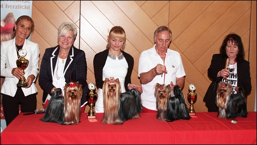 1.DYC Club Winner 2015 at Kassel