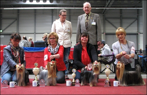 CACIB Erfurt - 21 june 2015