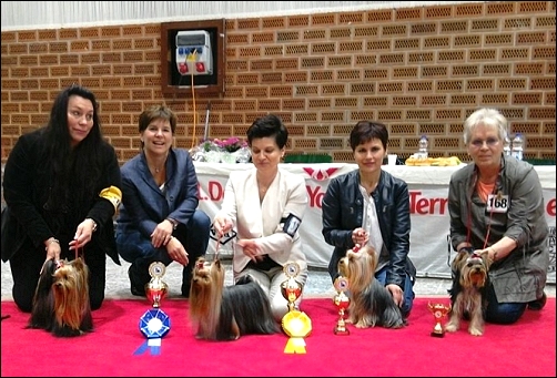 CACIB Neumuenster, 30 mai 2015