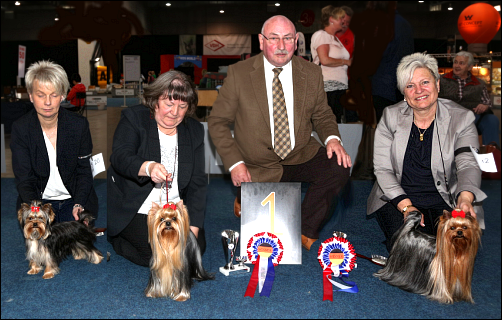 1.DYC Euro-Classics 2016 at Dortmund