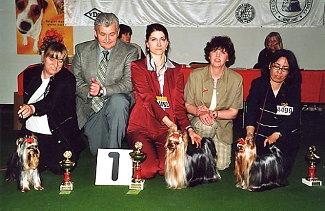 VDH Europe Winner Show