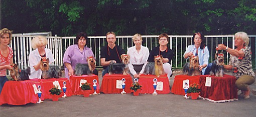 1.DYC Special Championship Breed Show at Stuttgart