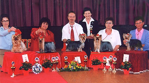 1.DYC Special Championship Breed Show at Stuttgart