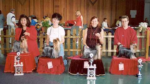 Special Championship Breed Show at Montabaur 1st day