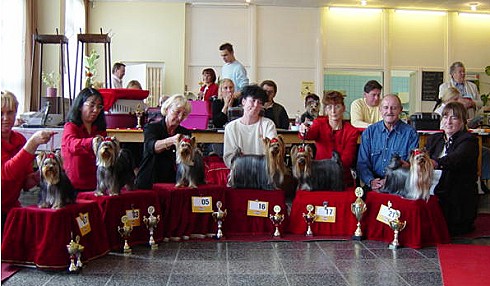 Special Championship Breed Show at L�bau