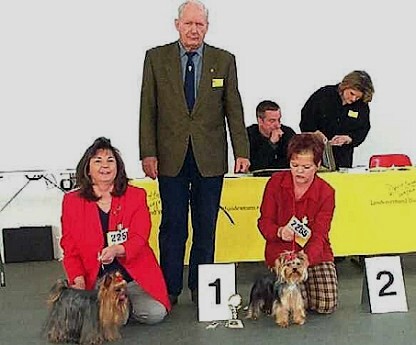 International Championship Show at Offenburg