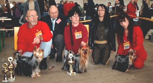 International Championship Show / CACIB Kassel