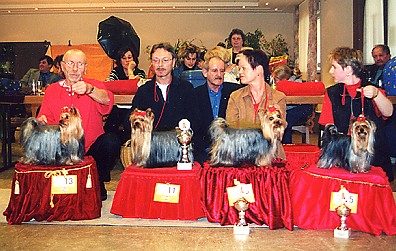 1.DYC Special Championship Breed Show at Neu-Isenburg