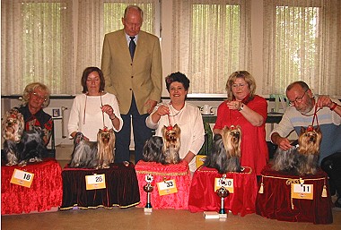 1.DYC Special Championship Breed Show at Raunheim