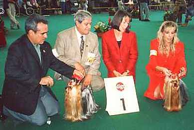 FCI World Winner Show Amsterdam