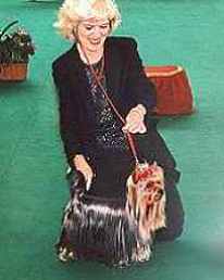 Junior World Champion (Dog)