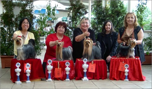 Special Championship Breed Show at Stuttgart 2nd day