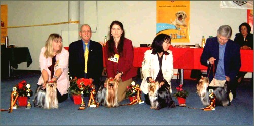 VDH German Winner 2003