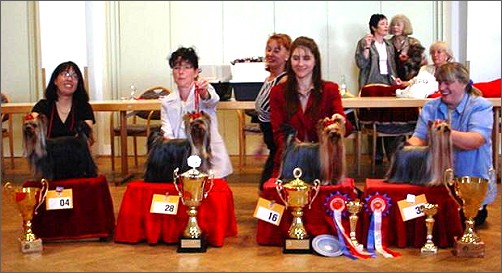 Clubwinner Show 2003 at R�sselsheim