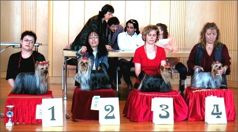 Easter Championship Breed Show at Ehingen day 2