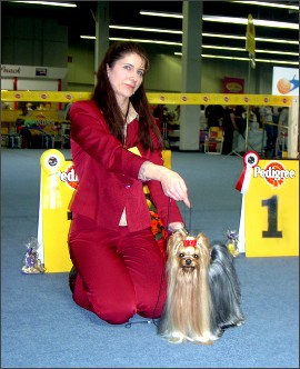 Handsome Roy of Padawi's