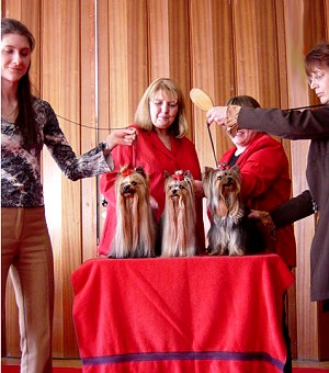 Special Championship Breed Show at Leipzig
