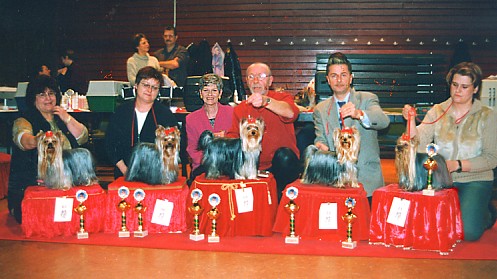 New Year Championship Breed Show at Stuttgart