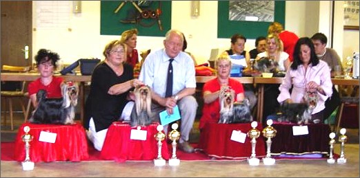 Championship Breed Show at N�rnberg