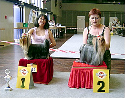 Championship Breed Show at Wesel