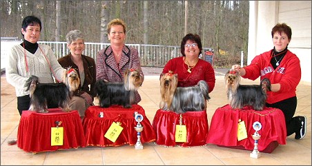 Yorkie New Year Show 2005