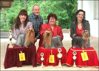 15 May 2005: Yorkie show at Stuttgart 