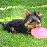 Billy - 5 month