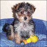 Joyce - 5 month
