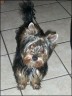 Marvin - 7 month