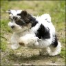 Luca - 13 weeks