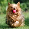 Mirko - 7 years