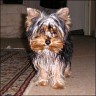 Tessi - 4 month