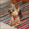 Kr�mel