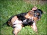 Kiss Kiss - 7 weeks