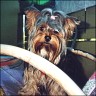 Luna-Daisy - 13 month