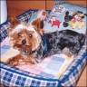 Chico
