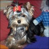 Alexis - 6 month