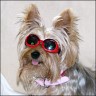 Jessy - 8 years
