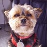 Kr�mel - 9 years