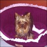 Rosalie - 2 years