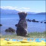 Mona - 16 month