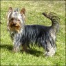 Karuso - 1 year