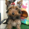 Francy - 5 month
