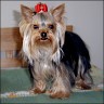 Gioia - 11 month