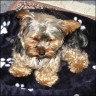 Bengo - 2 years