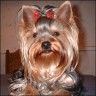 Debby - 4 years