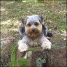 Mona - 11 month