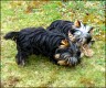 Aisha & Jessie - 5 month