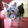 Kiki - 10 month