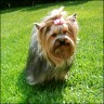 Nicolina - 2,7 years